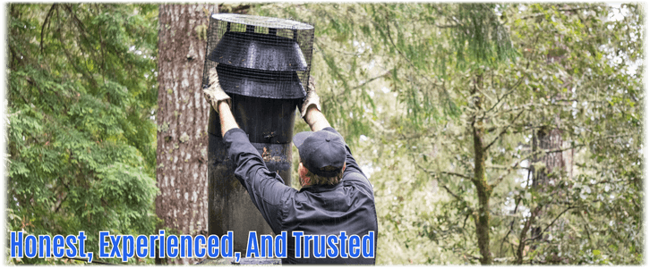 Chimney Cleaning Scottsdale AZ